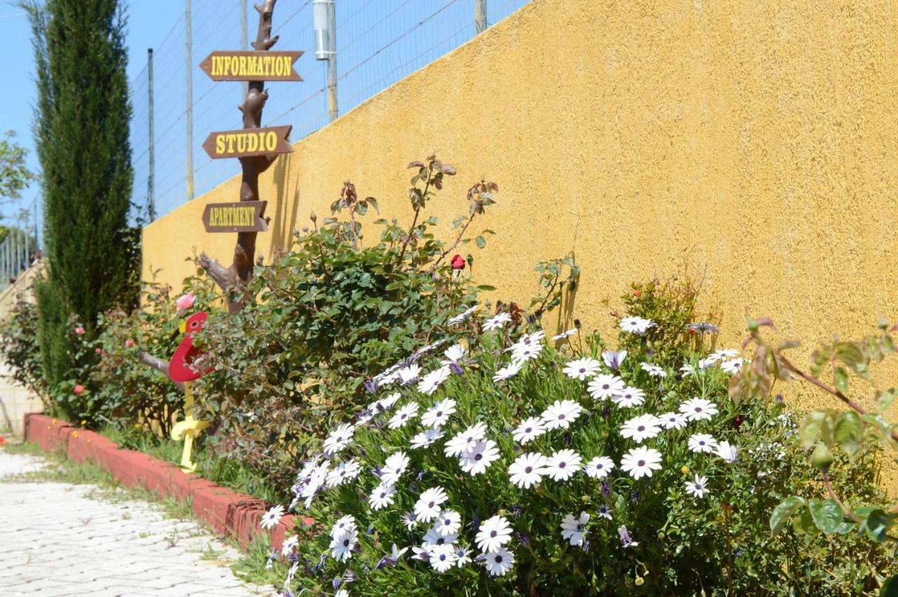 Acqui Villa Argostoli  Exteriér fotografie
